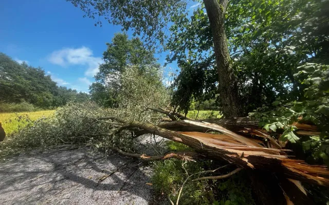 Další den, další bouřky. V Jihlavě spadl strom na auto, od poledne se hasiči nezastaví