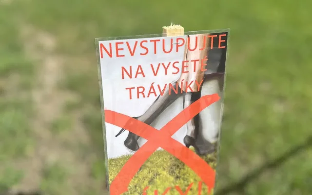 VIDEO, ANKETA: Radost v Jihlavě. Smetanovy sady s novou zelení jsou otevřené
