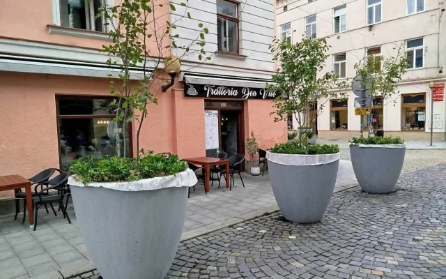 Problém s novou zelení v centru Jihlavy. Lidé vyhazují z květináčů kamenný mulč