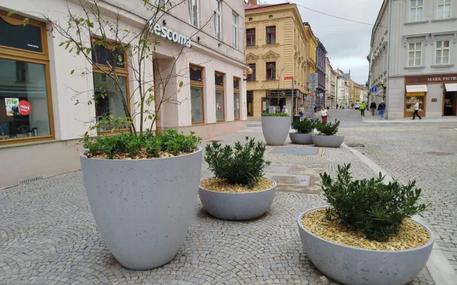 Problém s novou zelení v centru Jihlavy. Lidé vyhazují z květináčů kamenný mulč