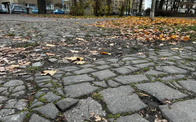 Aktuální stav parku