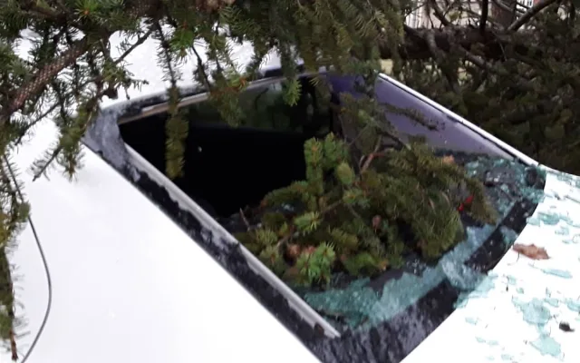 Orkán Sabine na Vysočině