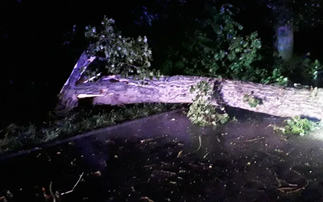 Noční bouřka na Vysočině a odklízení následků, 30.6.2021
