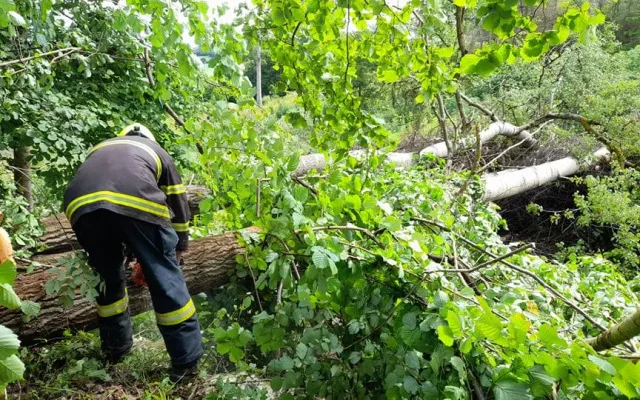 Noční bouřka na Vysočině a odklízení následků, 30.6.2021