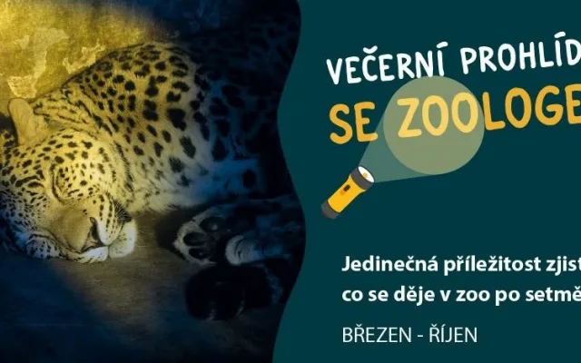 Večerní prohlídky se zoologem v Zoo Jihlava