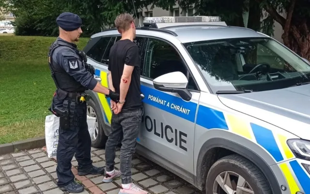 Recidivista se po propuštění z vězení vrátil ke krádežím, v Jihlavě vzal lego