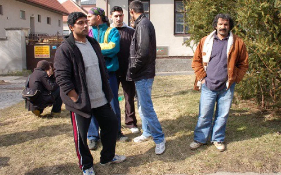 cikani