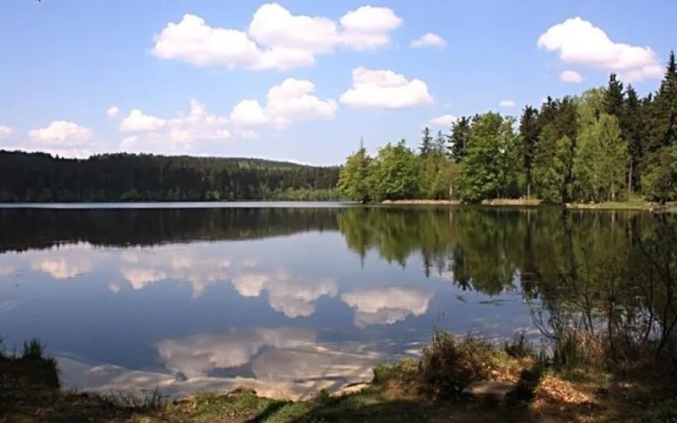 Velký pařezitý rybník