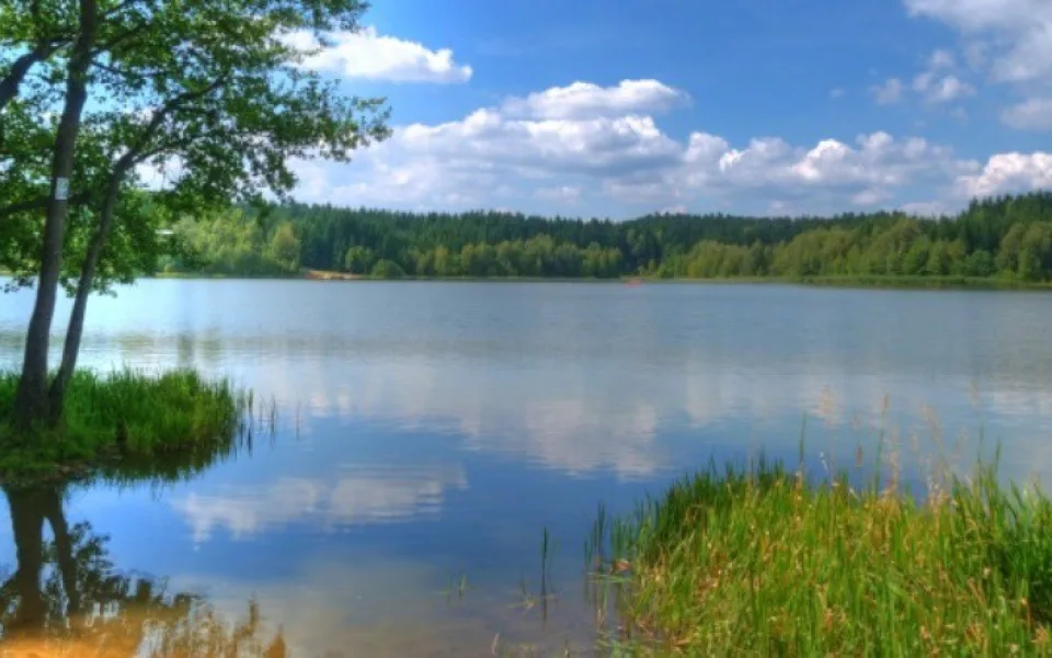 Rybník Sykovec
