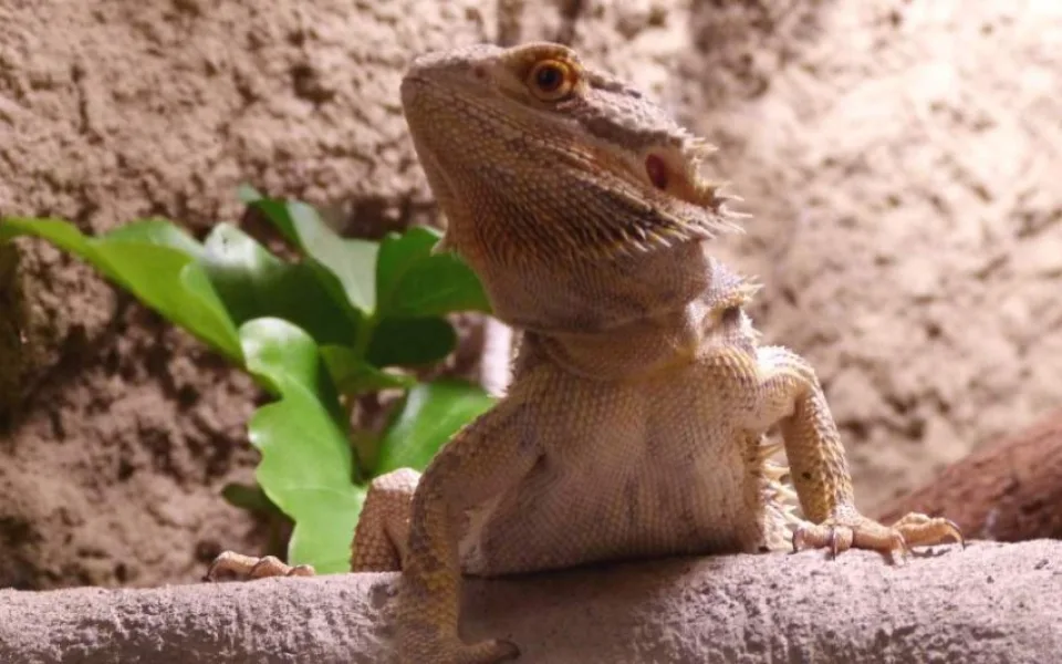 Zoo Jihlava