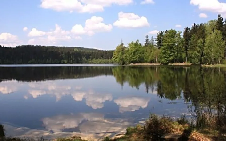 Velký pařezitý rybník 