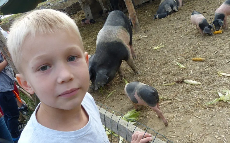 Na farmě v Sasově se dnes konal tradiční Biozemědělský den