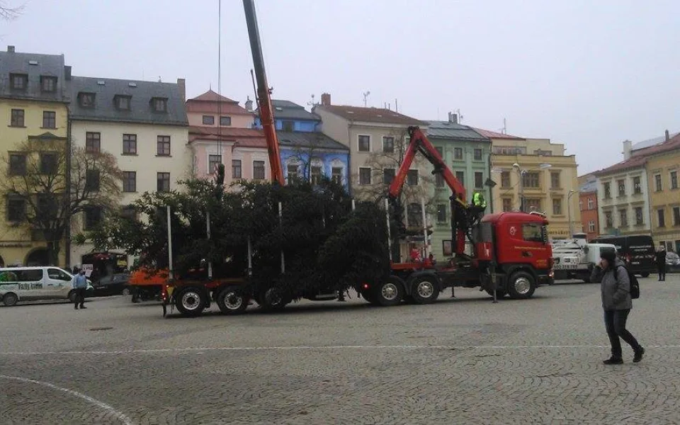 Na jihlavské náměstí dorazil vánoční strom. Vyrostl na největším sídlišti Březinky