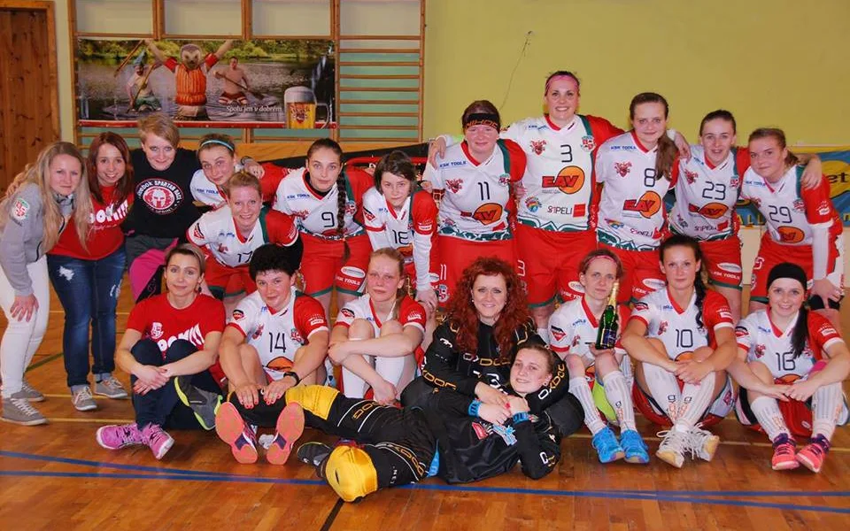 Florbalistky se do národního finále první ligy nepodívají. SK Jihlava v rozhodujícím finále podlehl Brnu 