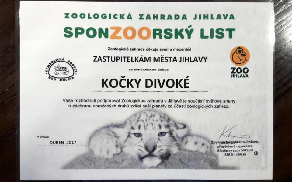 Jihlavské zastupitelstvy se také letos staly adoptivními rodiči kočky divoké v jihlavské zoo