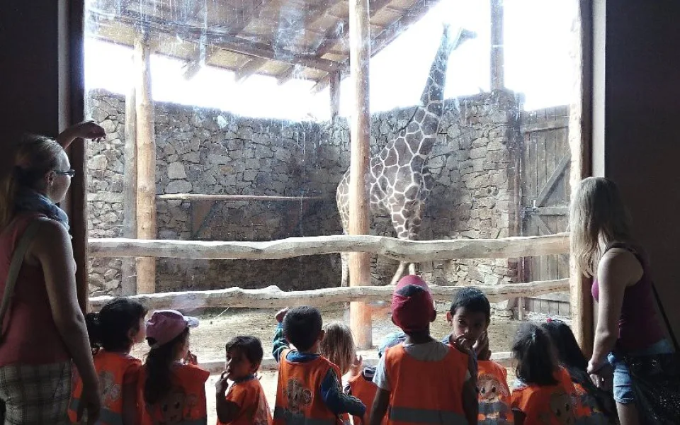 Děti z Klubíčka pozorovaly ptáky a zúčastnily se soutěže v jihlavské zoologické zahradě