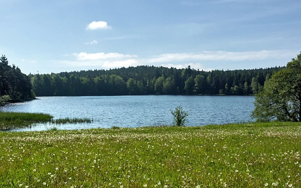Rybník Černý