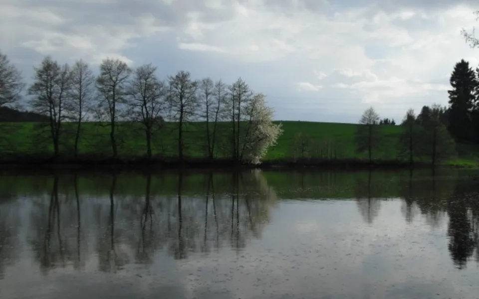 Rybník Ředkovec