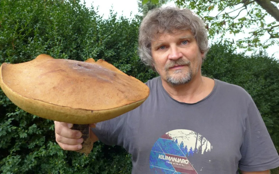 Zdeněk Rafaj z Humpolce našel rekordního křemenáče. Obvod klobouku je téměř jeden metr