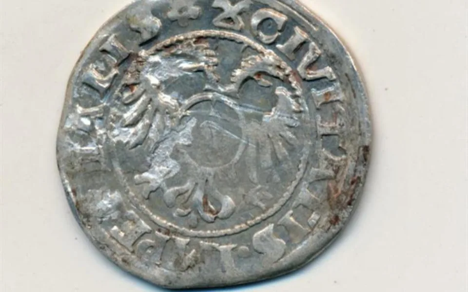Nálezcům stříbrného pokladu vyplatí Kraj Vysočina sedmačtyřicet tisíc korun