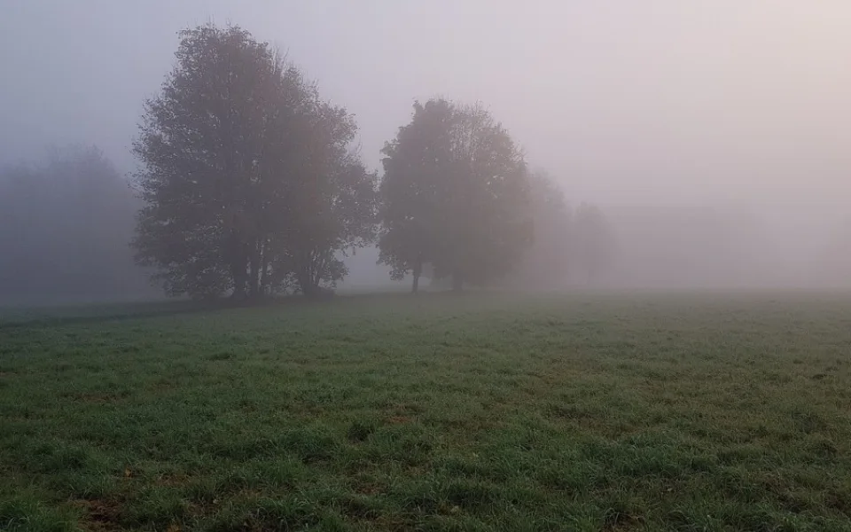 Ilustrační foto