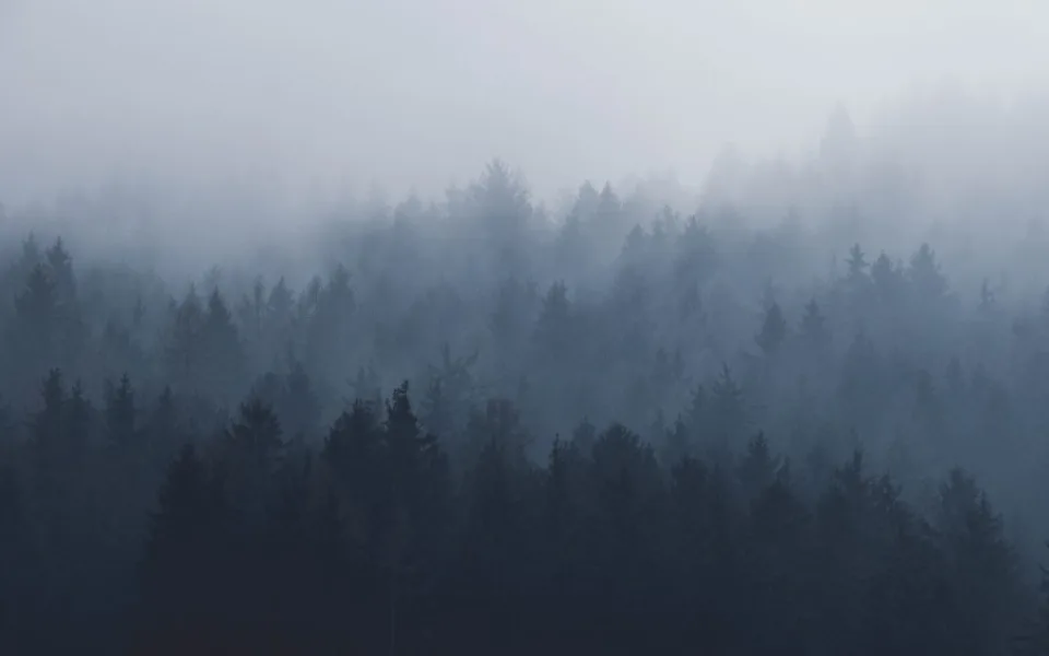 Ilustrační foto