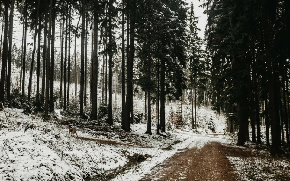 Ilustrační foto