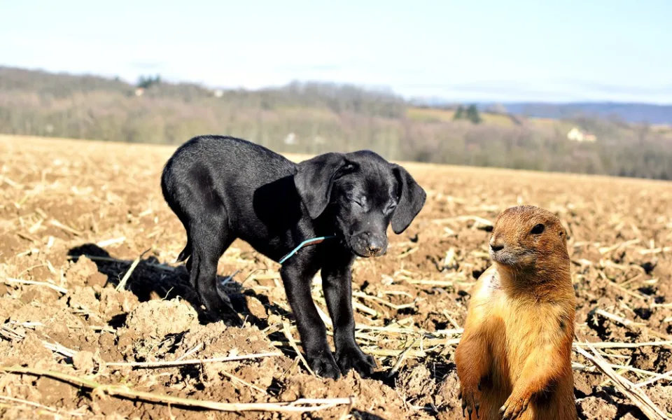 ZÁPESNÍK #3: První návštěva v zoo