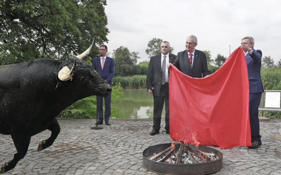 Zeman toreador nebo Zeman aktivista. Internet se baví vtipy o prezidentově pálení trenýrek