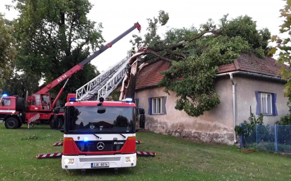 Hasiči z Vysočiny odstraňovali popadané stromy. V Pikárci spadl strom na rodinný dům
