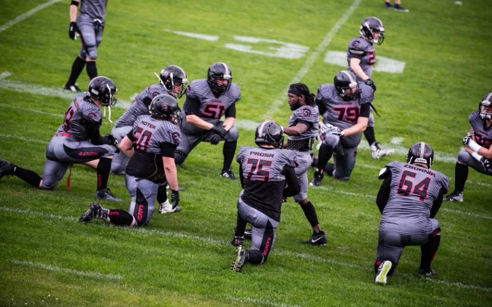 Vysočina Gladiators 