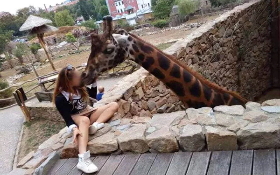 Snímek, který zveřejnila facebooková stránka Zoo Jihlava