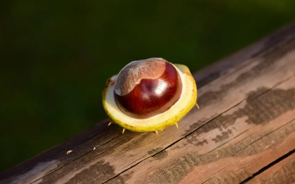Ilustrační foto
