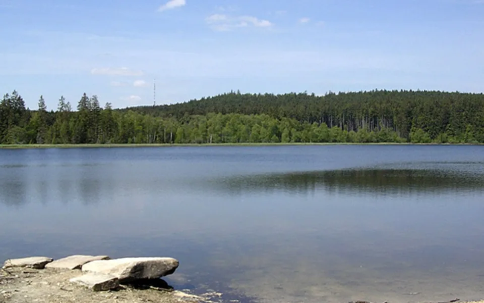 Velký Pařezitý rybník