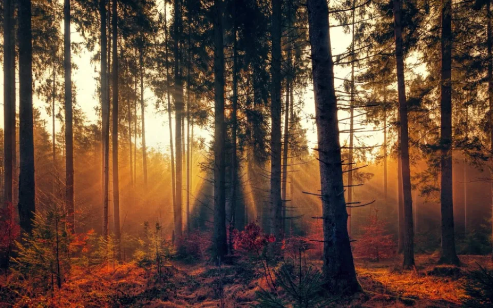 Ilustrační foto
