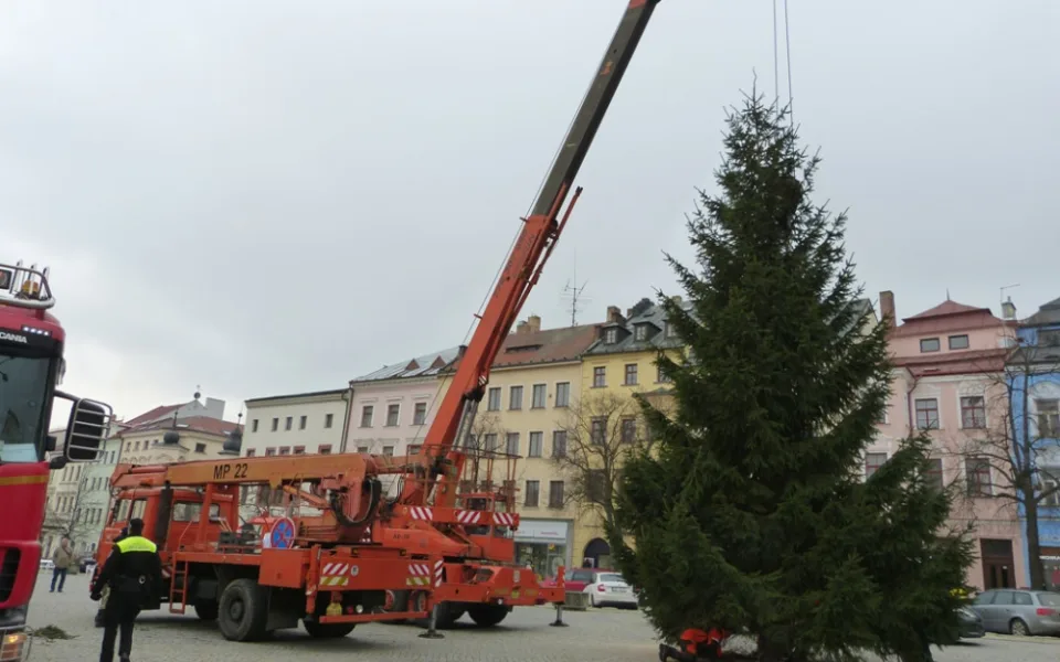 Už i Jihlava má svůj vánoční stromeček. Letos byl pokácen na Horním Kosově