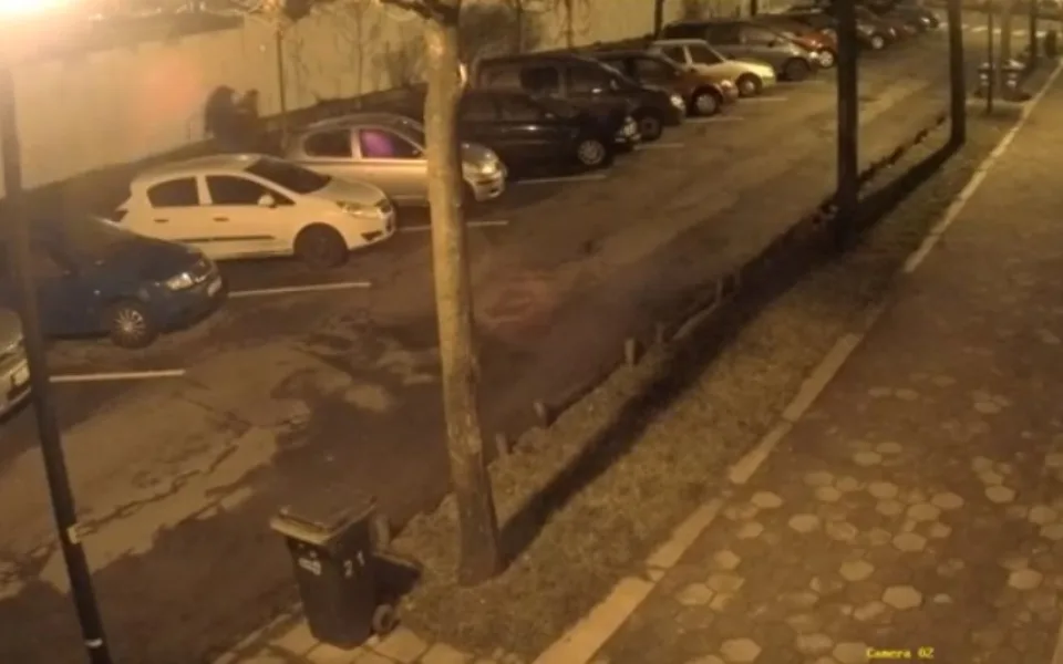 Majiteli auta byla ukradena značka na přání. Nejsou vám muži na záznamu povědomí?