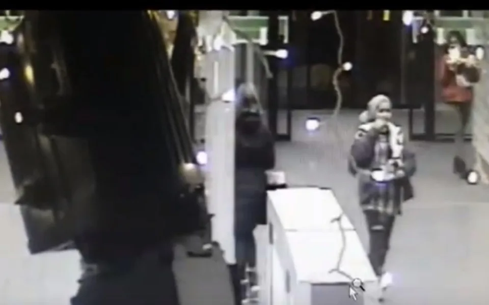 V City Parku vzal zloděj skoro třicet plyšáků. Policie hledá dívky na záznamu