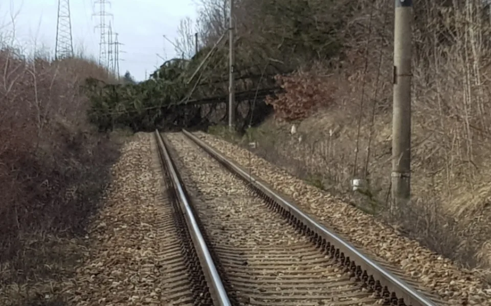 Spadlý strom na železnici u jihlavského Bosche