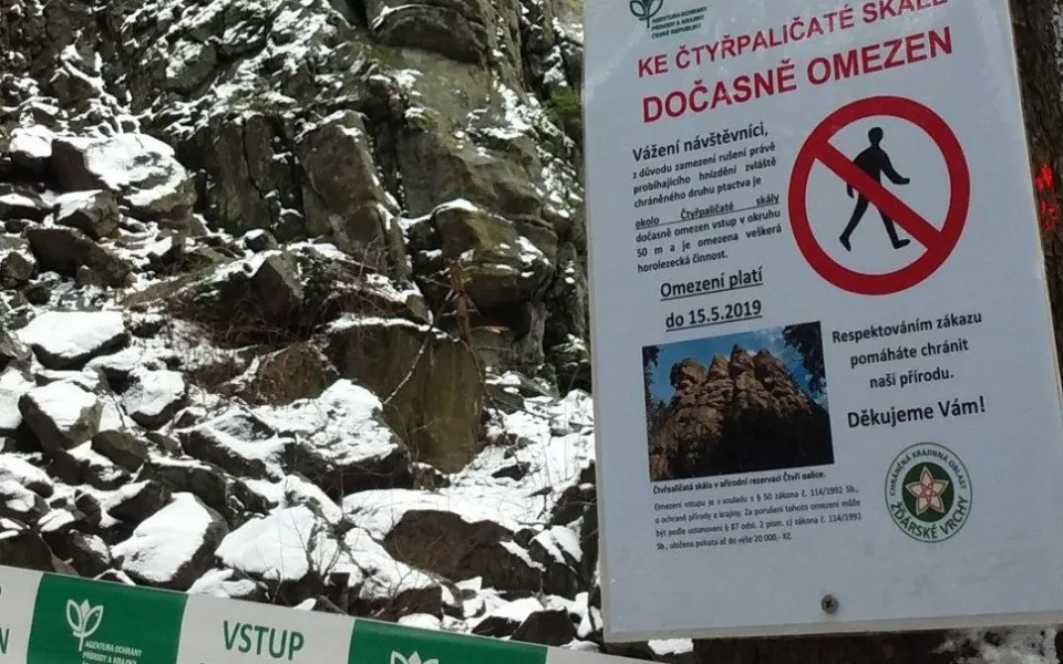Ve Ždárských vrších nesmí turisté rušit hnízdící krkavce