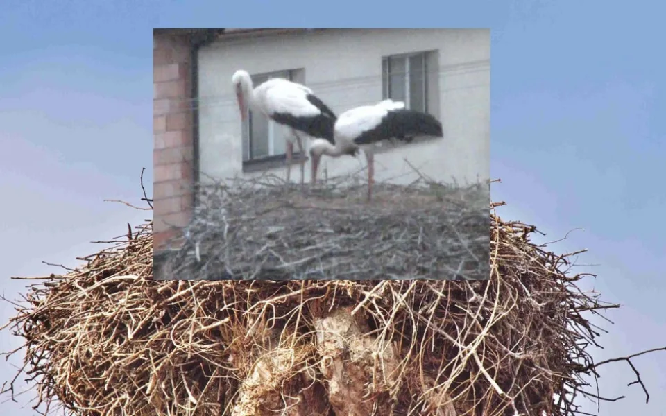 Ilustrační foto