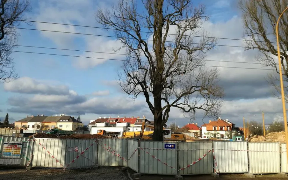 Ilustrační foto