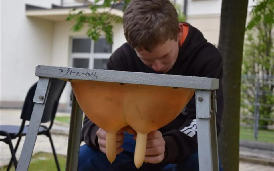 Soutěž pro děti ze ZŠ: O zemědělství a lesnictví toho nejvíc víc děti z Pelhřimovska