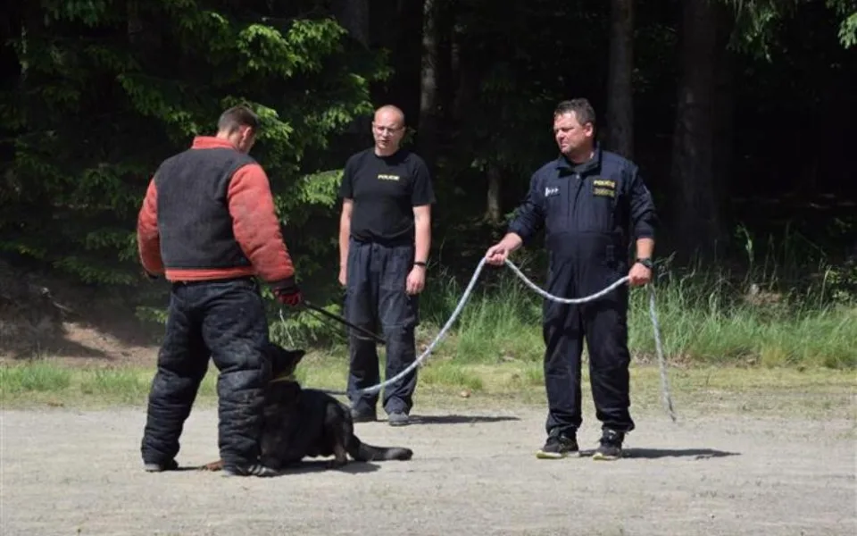 Policisté z Vysočiny školí kynology ze Zakarpatí. Již potřetí za sebou