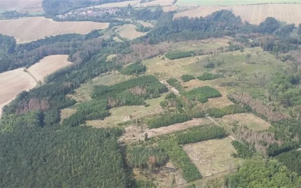 Kůrovcová kalamita na Vysočině z ptačí perspektivy. Užitečné lety hradí ministerstvo