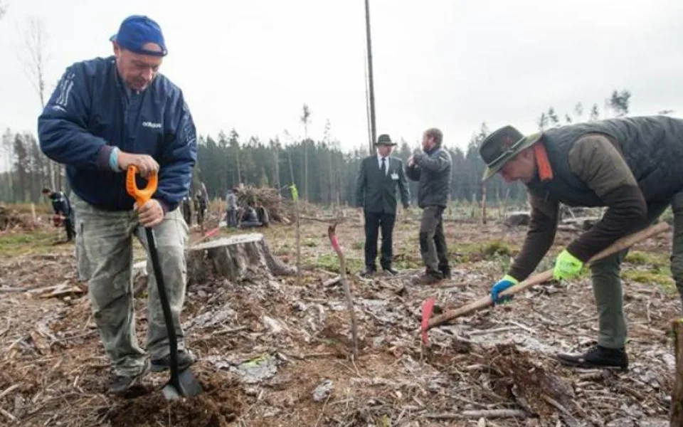 Dobrovolníci na holinách po kůrovcové kalamitě sázeli mladé stromky