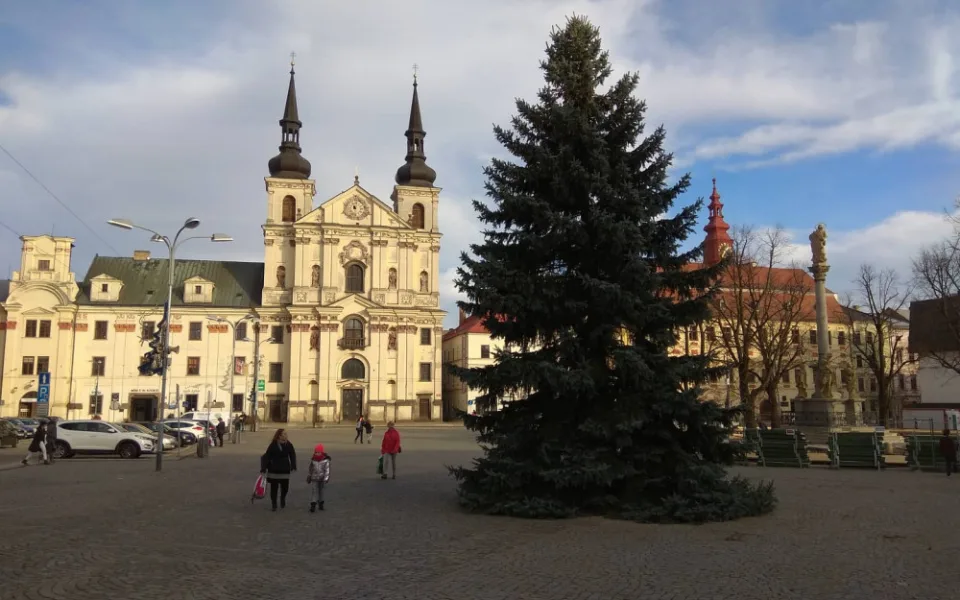 Na jihlavském Masarykově náměstí už stojí vánoční strom. Rozzáří se  1. prosince