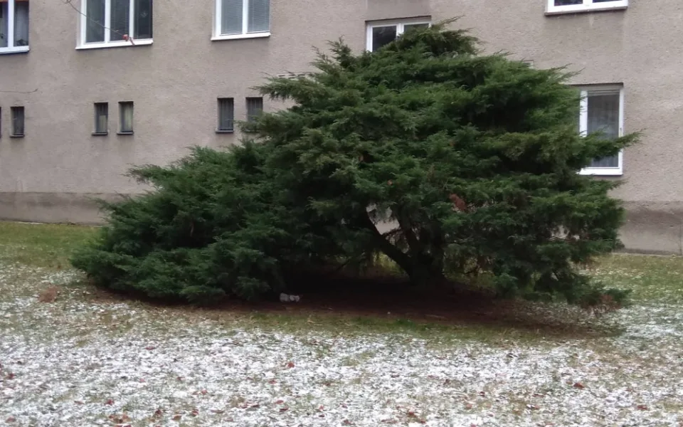 Místo, kde se bezdomovci často zdržují