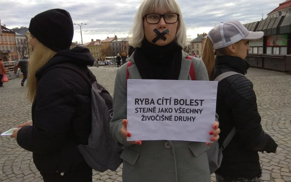 Na jihlavském náměstí se tiše protestovalo proti zabíjení kaprů na Vánoce