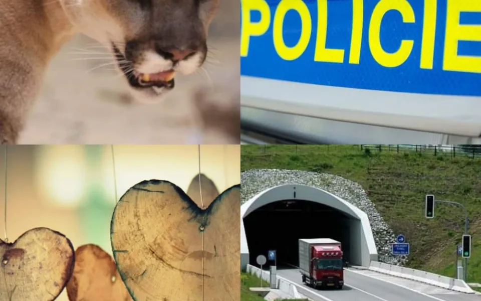 Ilustrační foto